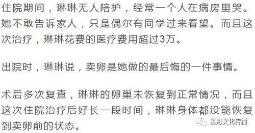 世界之卵官网怎么进 常见问题解决方法汇总