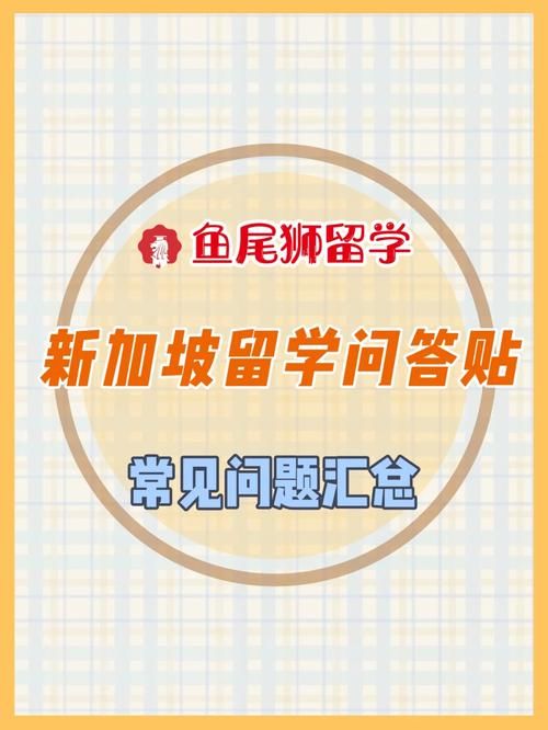 世界之卵官网怎么进 常见问题解决方法汇总