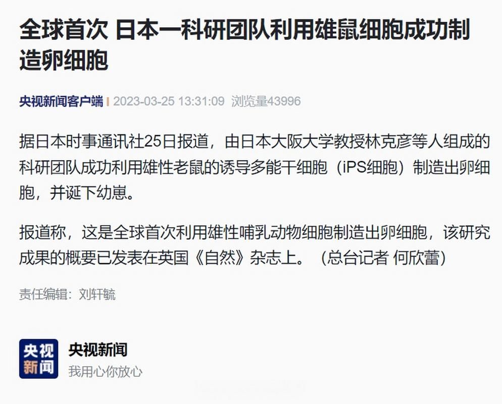 世界之卵官网怎么进 常见问题解决方法汇总