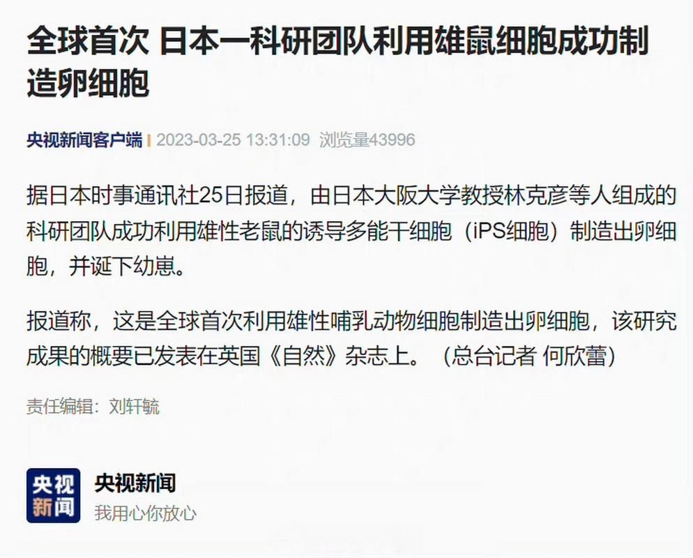 世界之卵官网怎么进 常见问题解决方法汇总