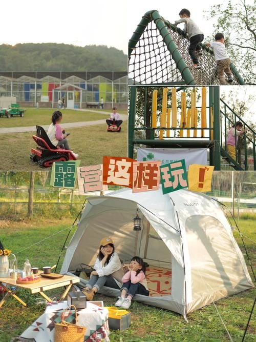 丛林V0.20安卓下载地址 亲测可用安全无广告