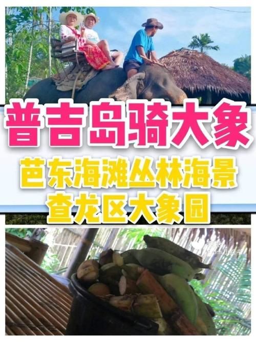 丛林V0.20最新版本常见问题解答 遇到问题看这里