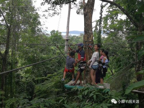 丛林V0.20最新版本常见问题解答 遇到问题看这里