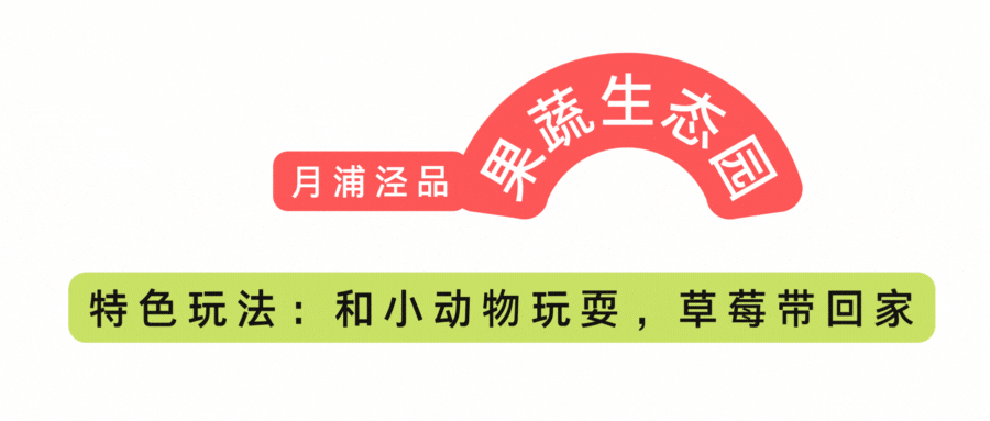 丛林V0.20游戏官网特色玩法详细介绍