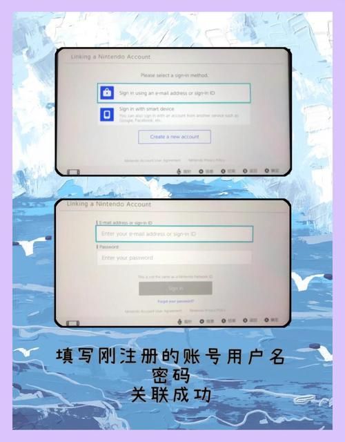 东区V0.5.2官方网站注册登录与账号安全指南