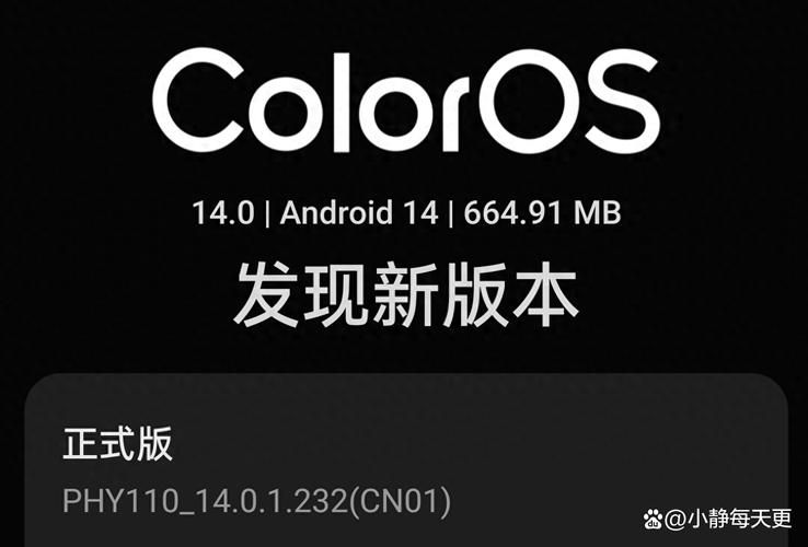 东区V0.5.2版本大全用户反馈与体验报告