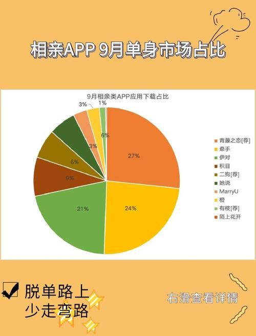 中国式相亲最新版本是多少 最新相亲趋势全解析