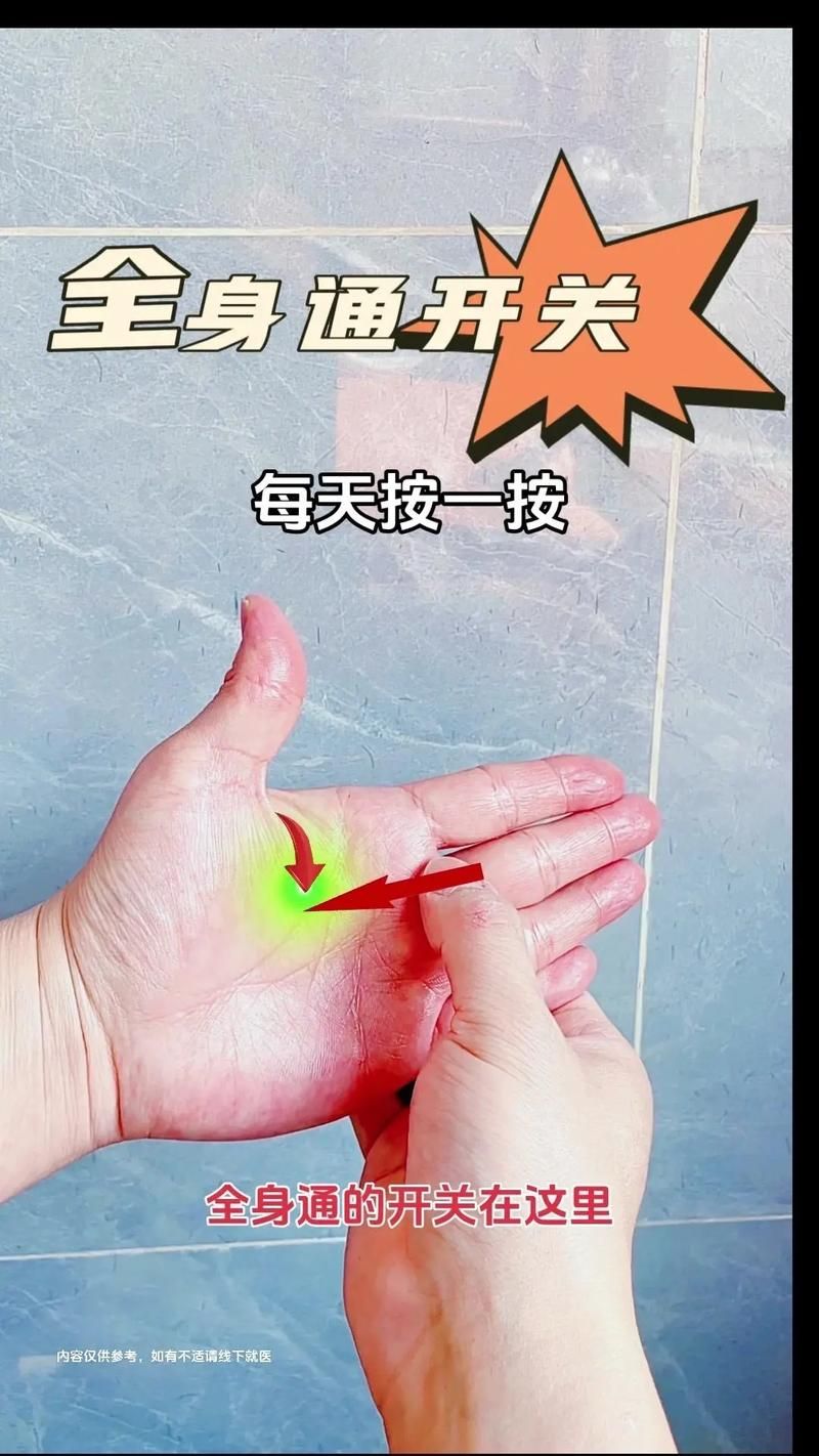 中指通在哪下载 手把手教你如何安装使用