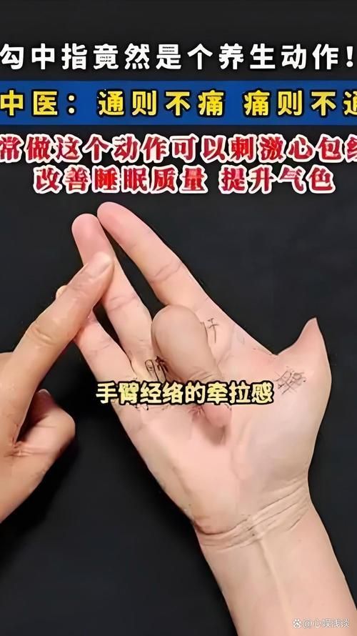 中指通最新使用教程手把手教你轻松上手