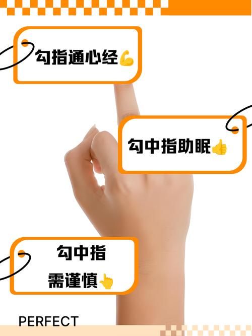 中指通最新使用教程手把手教你轻松上手
