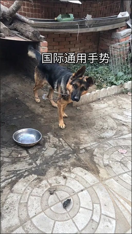中指通版本大全介绍 哪个中指通版本最好用