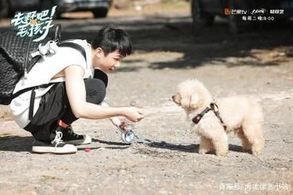 中途之家在哪下载 详细步骤教你快速安装