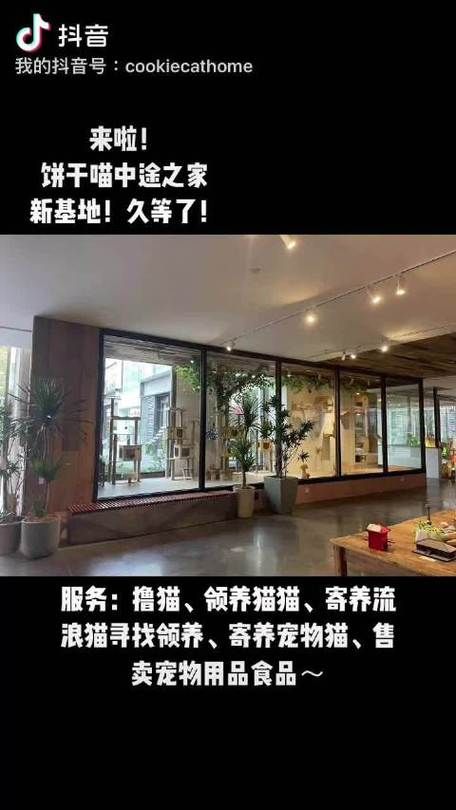 中途之家官方网站如何申请入住与援助
