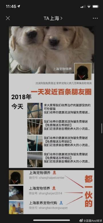 中途之家最新收费标准 2024年价格全公开