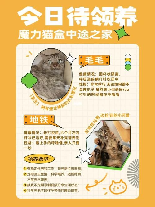 中途之家游戏介绍 玩法详解与新手入门指南