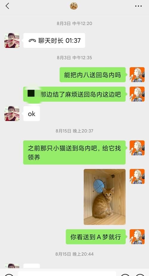 中途之家游戏攻略秘籍隐藏关卡解锁方法