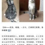 中途之家版本大全全面解析 帮你选出最佳版本