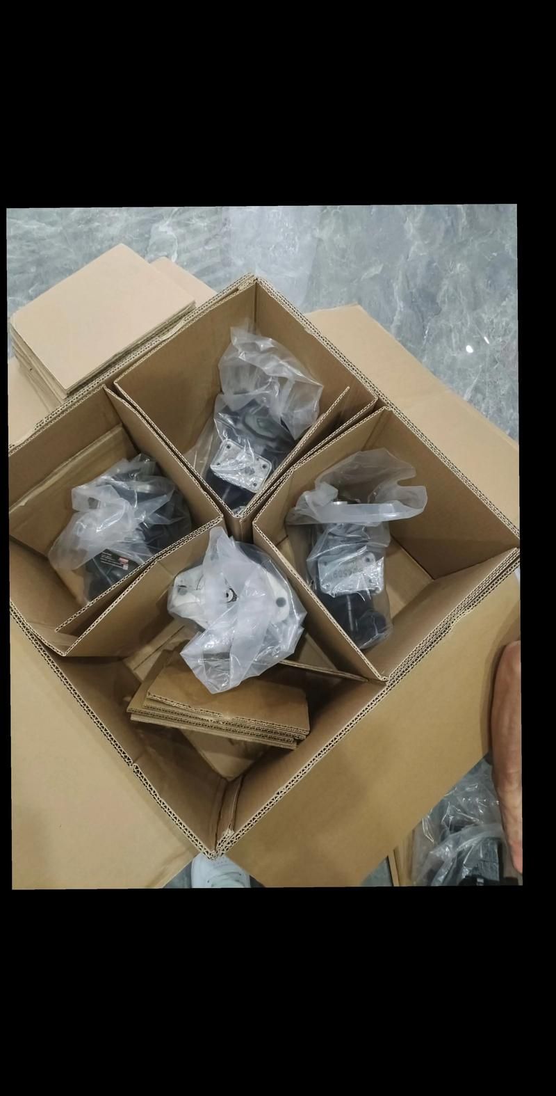 丹弗斯女士下载地址分享 最新资源一键获取