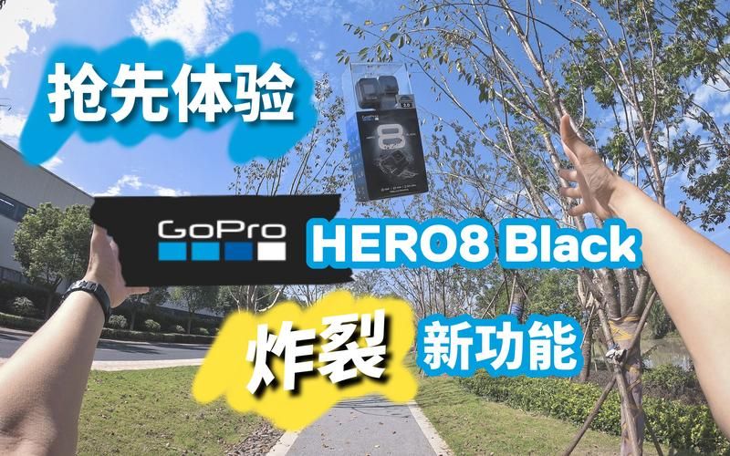 丹弗斯女士汉化版最新更新内容介绍 新功能抢先看