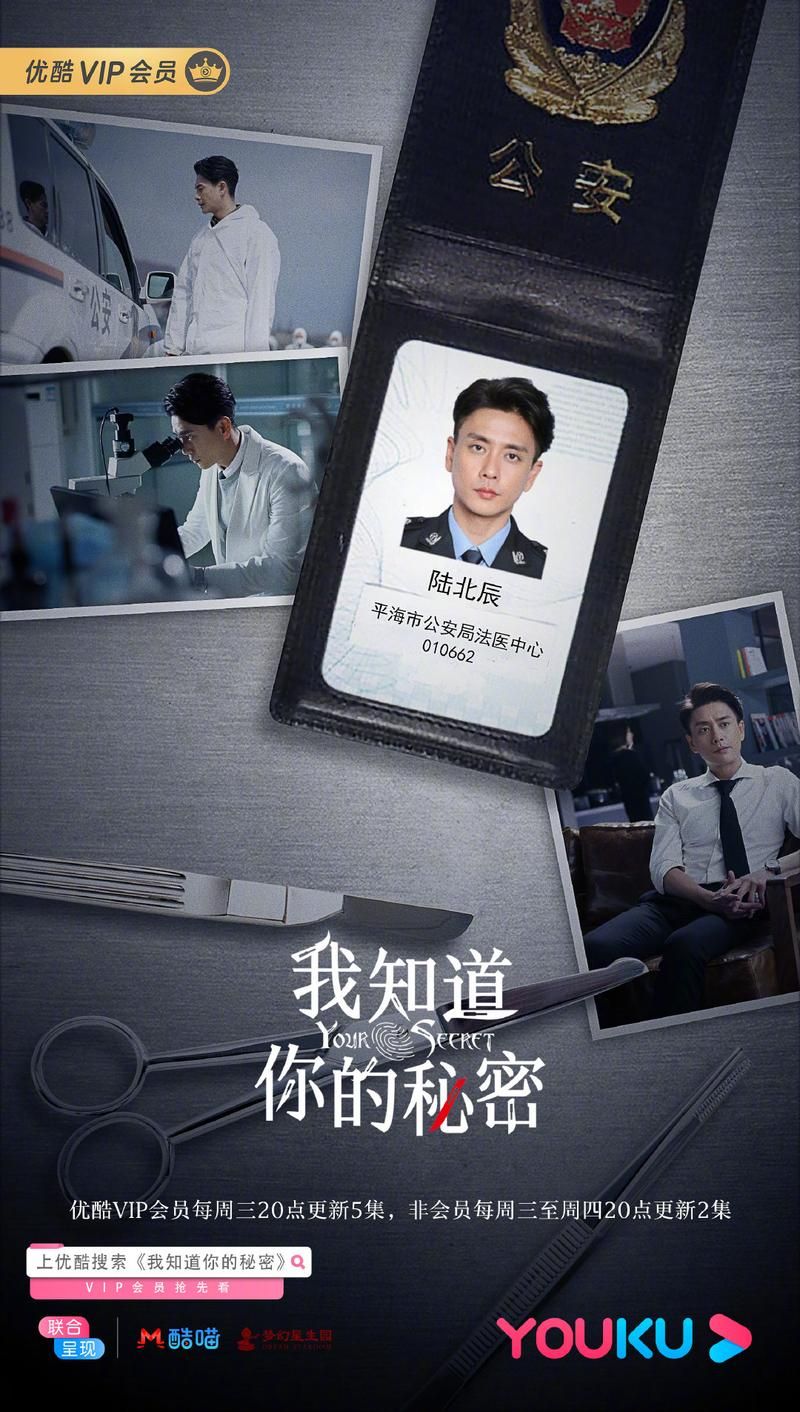 侦探请守护我的秘密吧最新版本是多少 玩家评价与体验分享