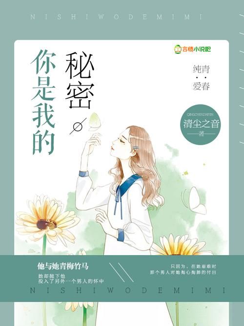 侦探请守护我的秘密吧游戏下载攻略与技巧分享