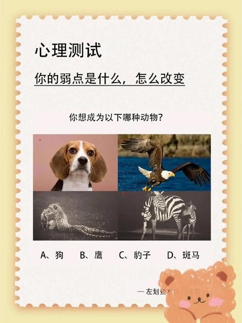 侧写者安卓软件对比 哪款心理分析工具更适合你