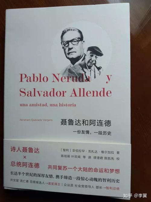 侧写者最新版本是多少 版本更新历史与下载方法