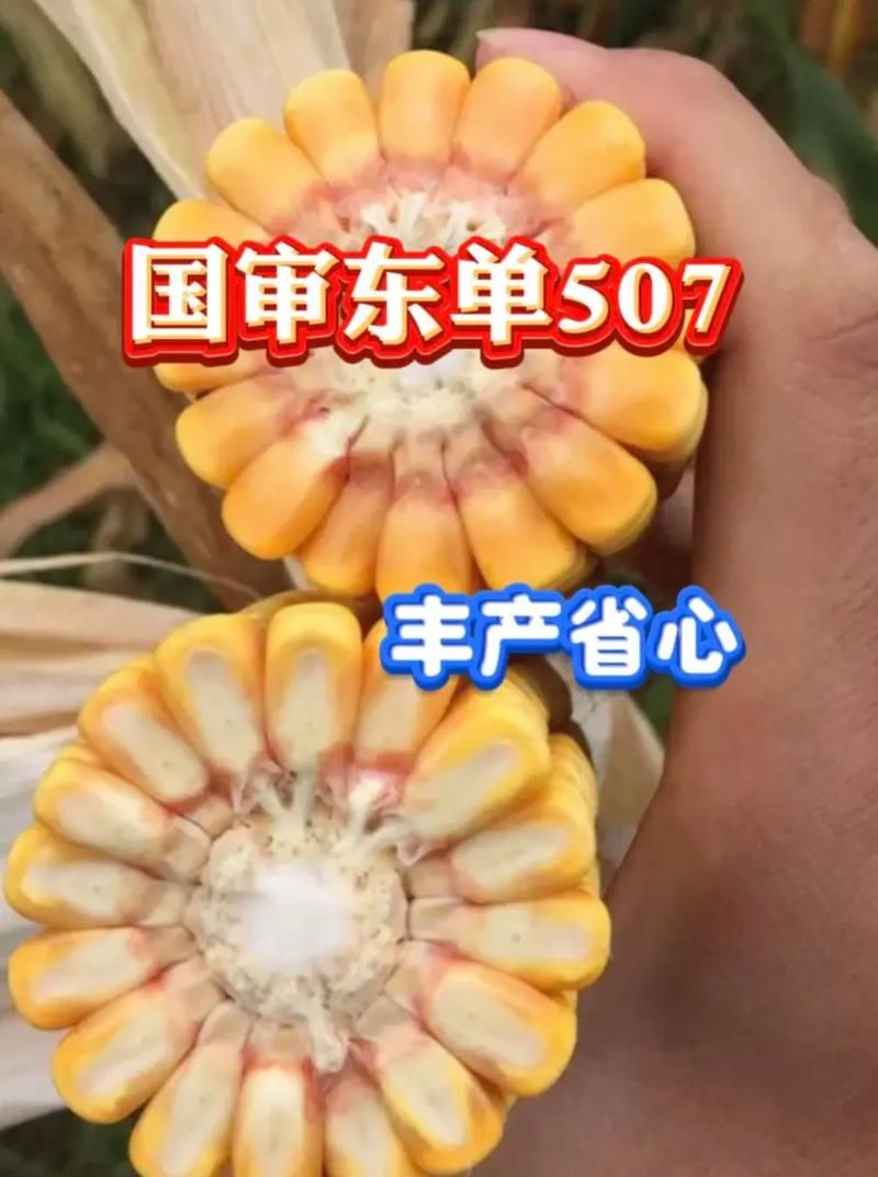 保利托农官网优惠活动 农资采购省钱又省心