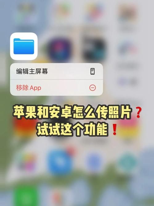 保利托农游戏下载攻略 最新安卓苹果安装包获取方法