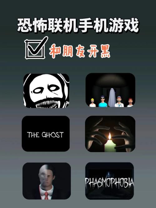 保卫莉迪亚游戏官网联机模式体验与好友组队攻略