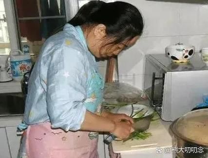 保姆儿媳安卓软件好用吗真实用户测评分享