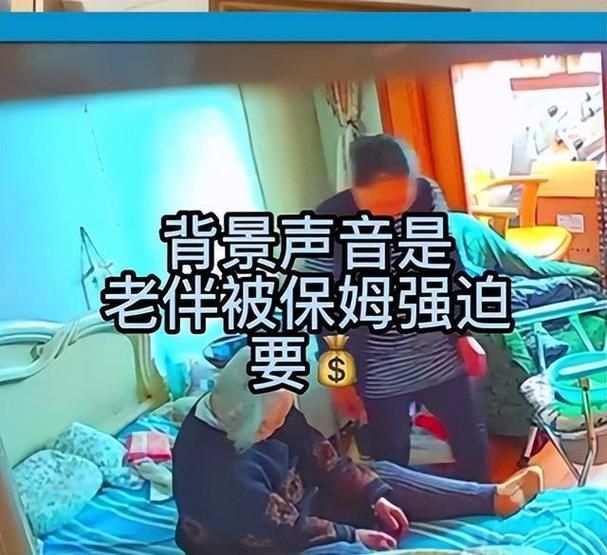 保姆儿媳官网保姆培训课程详细解析