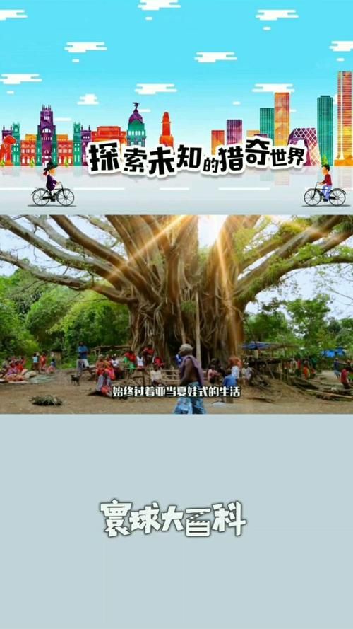 信仰之跃官方正式版下载最新版 最新版本更新内容详解