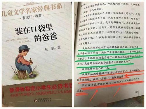 假父亲在哪下载 安全可靠的下载渠道推荐