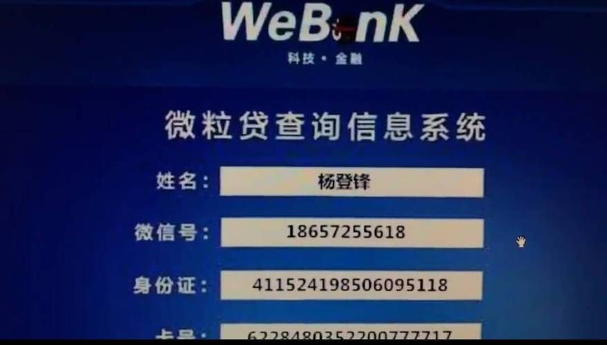 假父亲在哪下载 安全可靠的下载渠道推荐