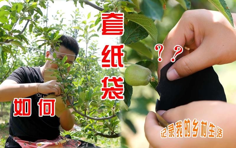 偏远村子如何下载地下城手把手教你操作