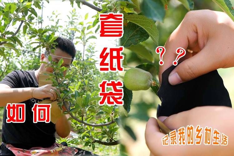 偏远村子如何下载地下城手把手教你操作