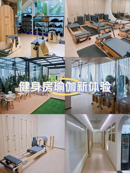 健身房瑜伽汉化版更新了哪些新功能