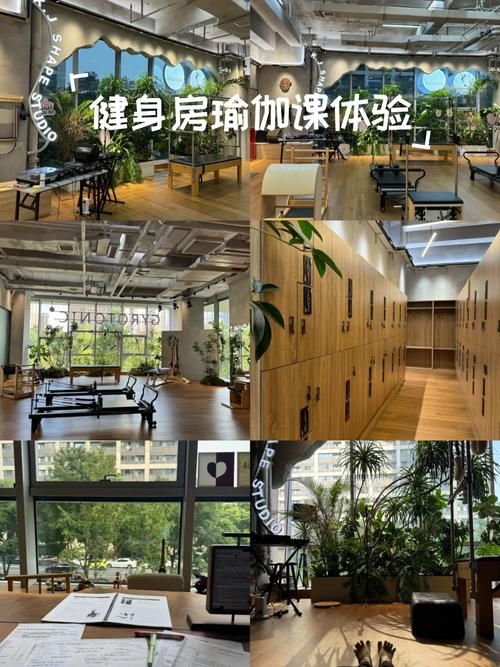 健身房的瑜伽官方网站体验课 免费预约马上练