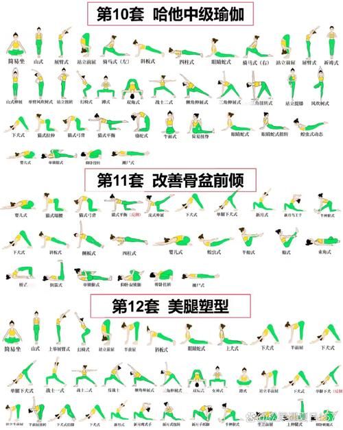 健身房的瑜伽最新版本是多少 最新功能与动作解析