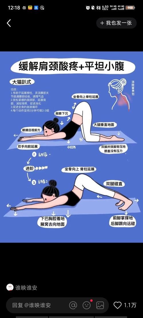 健身房的瑜伽最新版本是多少 最新功能与动作解析