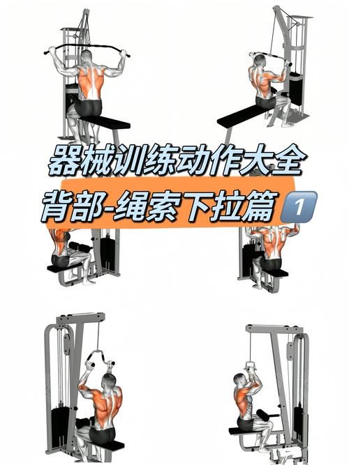 健身房的瑜伽最新装备指南 选对工具效果翻倍