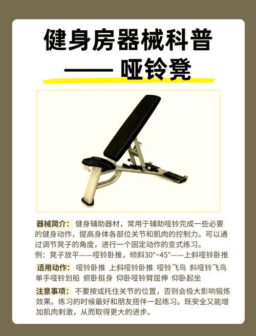 健身房的瑜伽最新装备指南 选对工具效果翻倍