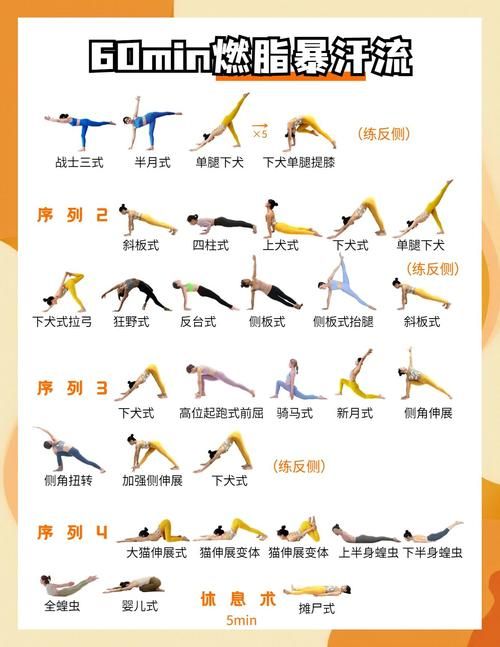 健身房的瑜伽版本大全 哪种最适合你的健身需求