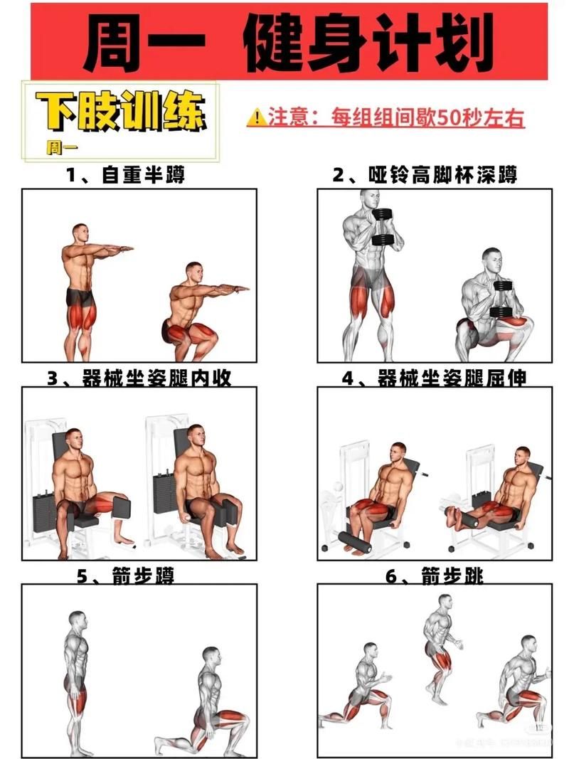 健身教练补课最新方法 如何高效安排学员训练计划