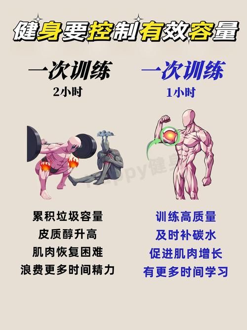 健身教练补课最新方法 如何高效安排学员训练计划