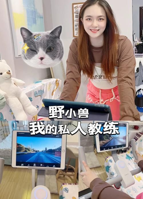 健身教练补课汉化版最新更新内容测评 哪项功能最实用