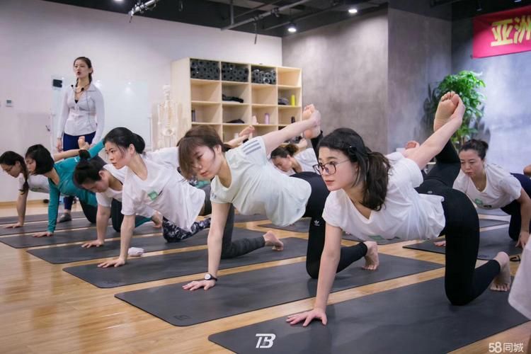 健身教练补课游戏下载攻略 快速提升训练效果
