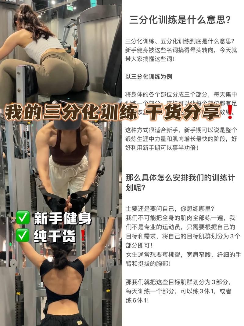 健身教练补课游戏介绍 新手如何快速掌握训练技巧