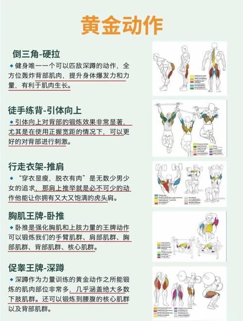 健身教练补课绅士游戏攻略 新手必看训练技巧
